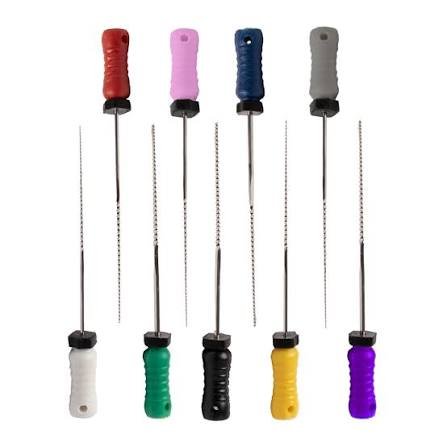 RACLEUR DENTSPLY